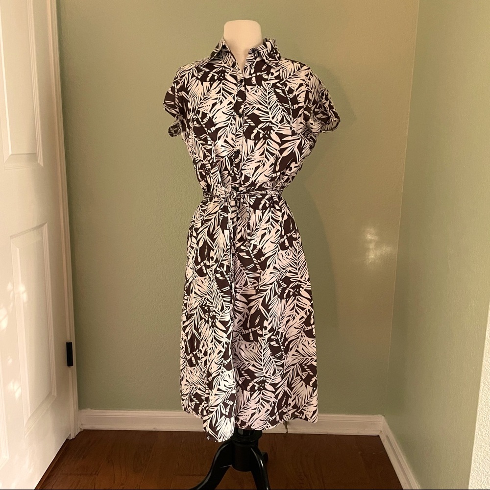 Brown and White shirtwaist dress